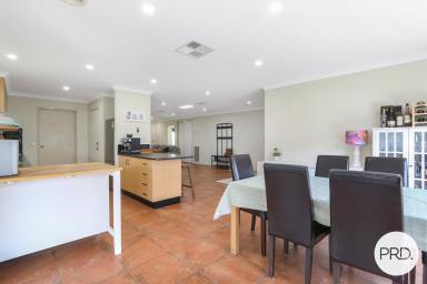 House For Sale - NSW - East Albury - 2640 - SPACE, COMFORT & A PEACEFUL EAST ALBURY OUTLOOK  (Image 2)