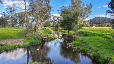 Lifestyle Auction - NSW - Dungowan - 2340 - RURAL LIFESTYLE AND PRODUCTION WITH ABUNDENCE OF WATER  (Image 2)