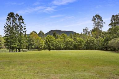 House For Sale - QLD - Samford Valley - 4520 - First Time On the Market - Quiet Location! (Image 2)