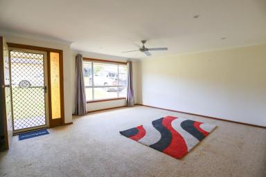 House For Lease - NSW - Goonellabah - 2480 - NEAT AND TIDY 3 BEDROOM HOME  (Image 2)