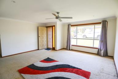 House For Lease - NSW - Goonellabah - 2480 - NEAT AND TIDY 3 BEDROOM HOME  (Image 2)