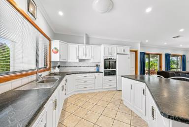 House For Sale - SA - Naracoorte - 5271 - Space, Size, Room, Immaculate - 2 titles 1,829m2  (Image 2)