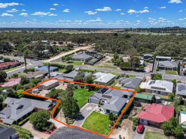 House For Sale - SA - Naracoorte - 5271 - Space, Size, Room, Immaculate - 2 titles 1,829m2  (Image 2)
