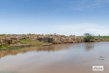 Other (Rural) For Sale - VIC - Baringhup - 3463 - Cropping & Grazing, 101.37 Ha - 250.5 Ac  (Image 2)