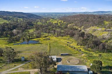 Lifestyle For Sale - VIC - Ruffy - 3666 - 169 Acres* with Cottage, Stables, Round Yard & Room to Build (Image 2)