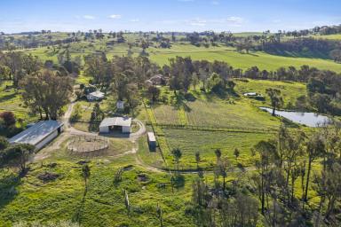 Lifestyle For Sale - VIC - Ruffy - 3666 - 169 Acres* with Cottage, Stables, Round Yard & Room to Build (Image 2)