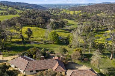 Lifestyle For Sale - VIC - Ruffy - 3666 - 'Ardroy ' An Iconic 1950s Homestead with Three Fireplaces, Library & Valley Views (Image 2)
