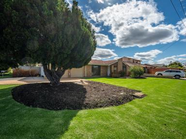 House For Lease - WA - Bull Creek - 6149 - Your Bull Creek Lifestyle Starts Here  (Image 2)
