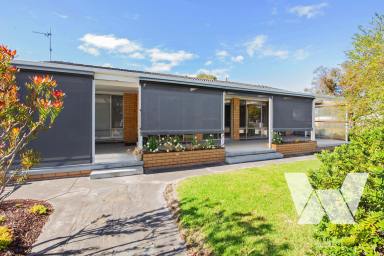 House For Lease - VIC - Bairnsdale - 3875 - CENTRALLY LOCATED WITH COMFORTABLE, LOW-MAINTENANCE LIVING  (Image 2)