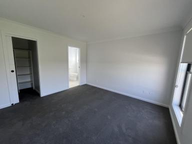 House For Lease - NSW - Grafton - 2460 - Modern, Spacious & Move-In Ready in Quiet Waghorn Way  (Image 2)