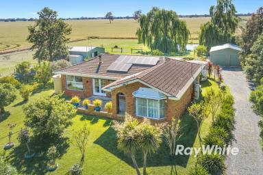 Lifestyle For Sale - VIC - Colbinabbin - 3559 - Country Living with Space, Comfort & Exceptional Shedding  (Image 2)