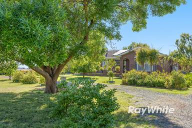 Lifestyle For Sale - VIC - Colbinabbin - 3559 - Country Living with Space, Comfort & Exceptional Shedding  (Image 2)