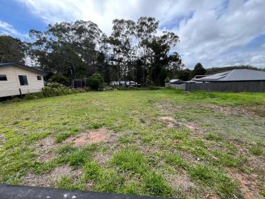 Residential Block For Sale - QLD - Russell Island - 4184 - Well Presented Vacant Land - Close to shops/Ferry  (Image 2)