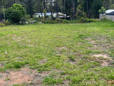 Residential Block For Sale - QLD - Russell Island - 4184 - Well Presented Vacant Land - Close to shops/Ferry  (Image 2)