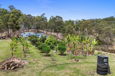 Residential Block For Sale - QLD - Bauple - 4650 - YOUR OWN PRIVATE PARADISE (Image 2)