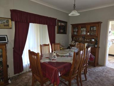 House For Sale - NSW - Muswellbrook - 2333 - THREE (3x) BEDROOM BRICK-VENEER HOME ON LEVEL FENCED YARD EXTRA CARPORT AND BACK YARD ACCESS  (Image 2)