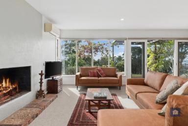 Lifestyle For Sale - VIC - Deans Marsh - 3235 - A View You'll Never Tire Of… (Image 2)