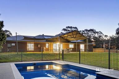 House For Sale - NSW - Moama - 2731 - 80 Acres, Two Homes & Endless Opportunities 
104 Old Deniliquin Road, Moama
82 Old Deniliquin Road, Moama  (Image 2)