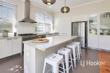 House For Lease - NSW - Inverell - 2360 - Versatile Family Home! (Image 2)
