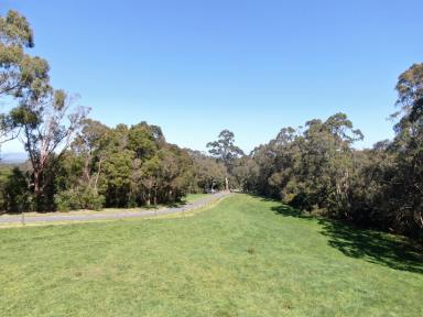 Residential Block For Sale - VIC - Foster - 3960 - A Picturesque South Gippsland Acreage Opportunity  (Image 2)