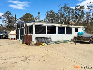 Lifestyle For Sale - NSW - Countegany - 2630 - Your Own Riverside Escape  (Image 2)