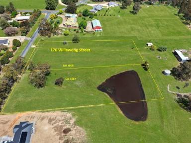 Residential Block For Sale - NSW - Young - 2594 - 4 Titles of Resdiential Zoned Property  (Image 2)
