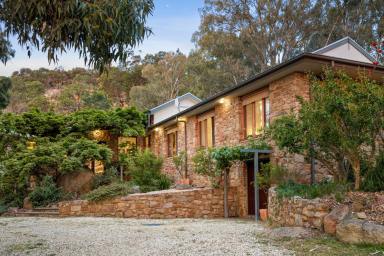 Lifestyle For Sale - VIC - Avenel - 3664 - A Substantial Stone Home, A Stylish Second Residence & Award-Winning Olive Grove  (Image 2)