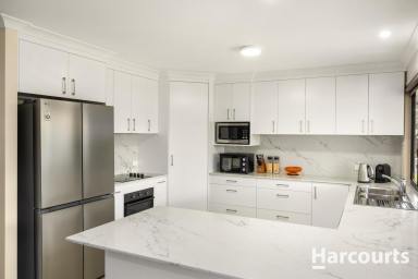House For Sale - QLD - Cordalba - 4660 - STEP INSIDE, SETTLE IN & ENJOY - THE HARD WORK HAS BEEN DONE! (Image 2)