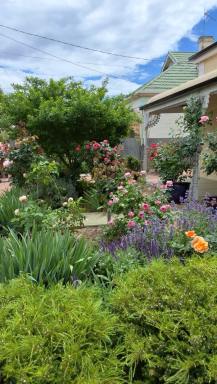 House For Sale - SA - Quorn - 5433 - Character Stone Home with Country Charm, Gardens and Versatile Living with all the hard work done.  (Image 2)