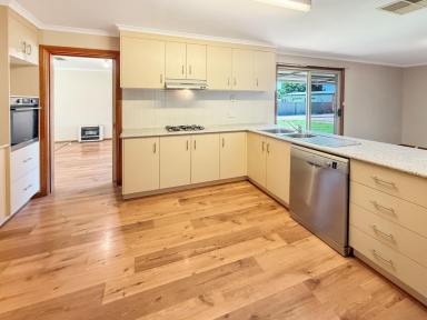 House For Sale - NSW - Whitton - 2705 - SPACE, SHEDDING & POTENTIAL IN WHITTON (Image 2)