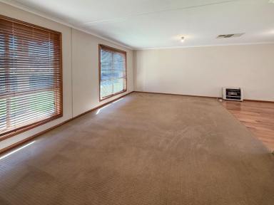 House For Sale - NSW - Whitton - 2705 - SPACE, SHEDDING & POTENTIAL IN WHITTON (Image 2)
