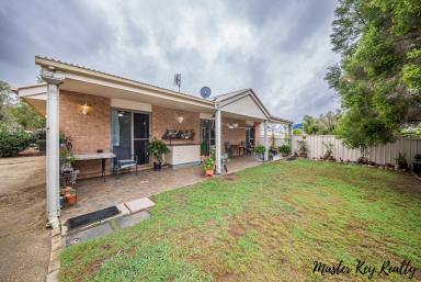 Lifestyle For Sale - QLD - Mondure - 4611 - For the Life You've Been Talking About Over the Kitchen Table  (Image 2)
