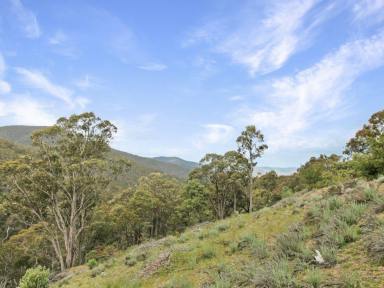 House For Sale - VIC - Omeo - 3898 - ESCAPE TO THE HIGH COUNTRY – APPROXIMATELY 54 ACRES OF BUSHLAND  (Image 2)