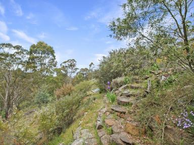House For Sale - VIC - Omeo - 3898 - ESCAPE TO THE HIGH COUNTRY – APPROXIMATELY 54 ACRES OF BUSHLAND  (Image 2)