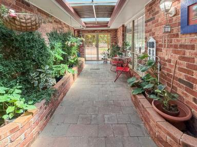 House For Sale - NSW - Leeton - 2705 - SPACE, COMFORT & LIFESTYLE ON APPROX. ONE ACRE (Image 2)