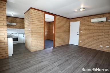 Unit For Lease - NSW - Wagga Wagga - 2650 - IN THE HEART OF THE CBD!  (Image 2)