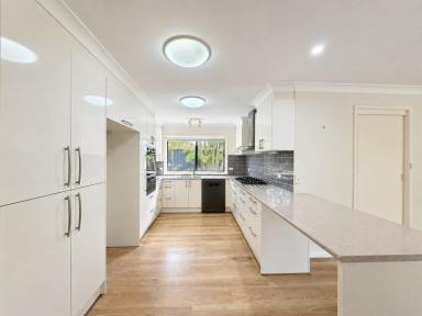 House For Lease - NSW - Old Bar - 2430 - Coastal Family Living with Space, Privacy & Lifestyle!  (Image 2)