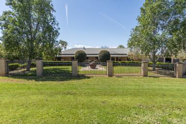 House For Sale - NSW - Springvale - 2650 - "Manoora"- Where Lifestyle Meets Perfection  (Image 2)