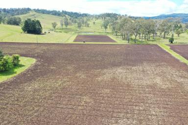 Mixed Farming For Sale - NSW - Kyogle - 2474 - IRRIGATION & LIVESTOCK PROPERTY  (Image 2)