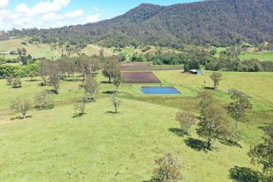 Mixed Farming For Sale - NSW - Kyogle - 2474 - IRRIGATION & LIVESTOCK PROPERTY  (Image 2)