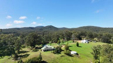 Livestock For Sale - NSW - Rollands Plains - 2441 - HIGH-RAINFALL GRAZING IN THE MID NORTH COAST (Image 2)