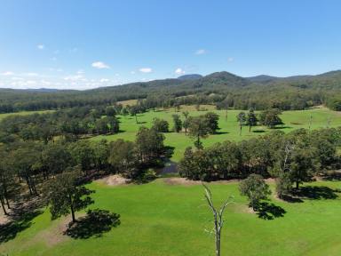 Livestock For Sale - NSW - Rollands Plains - 2441 - HIGH-RAINFALL GRAZING IN THE MID NORTH COAST (Image 2)