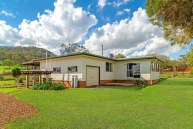 House For Lease - QLD - Drayton - 4350 - Your Own Slice Of Country Living (Image 2)