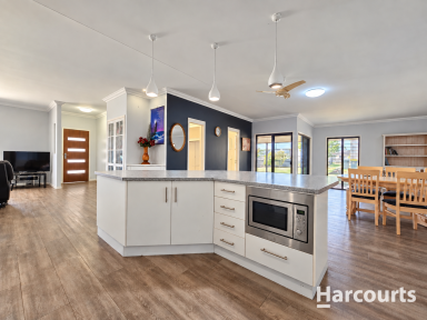 Acreage/Semi-rural For Sale - QLD - Woongarra - 4670 - COMING SOON - DUAL LIVING, 12.4 ACRES AND AN EXCEPTIONAL SHED (Image 2)