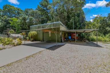 House For Lease - QLD - Eumundi - 4562 - Private Acreage Living Just Moments from Historic Eumundi  (Image 2)