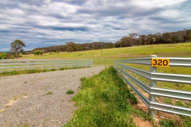 Other (Rural) Auction - NSW - Goulburn - 2580 - Live on the land and create your own lifestyle !  (Image 2)