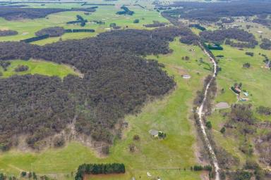 Other (Rural) Auction - NSW - Goulburn - 2580 - Live on the land and create your own lifestyle !  (Image 2)