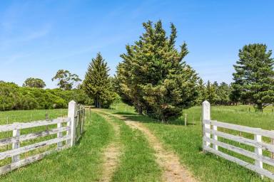 Lifestyle Auction - VIC - Mount Moriac - 3240 - Stunning Rural Outlook (Image 2)
