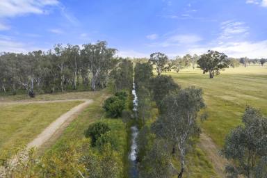 Mixed Farming For Sale - VIC - Violet Town - 3669 - 'Tambo' - 565 Acres of Quality Grazing Country (Image 2)