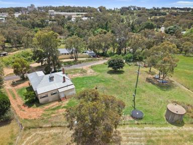 House For Sale - NSW - Young - 2594 - Potential Plus  (Image 2)